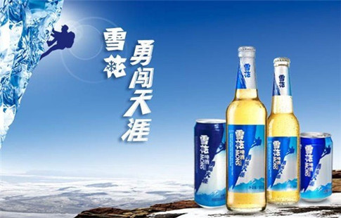 力網為雪花勇闖天涯提供品牌營銷服務